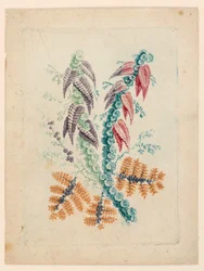 Motif floral fantastique de "Nouvelle Suite de Cahiers de fleurs idéales"