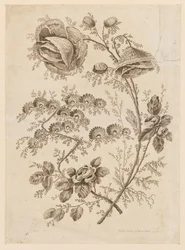 Branche Fleurie, de "Cahier de Fleurs Singulières"