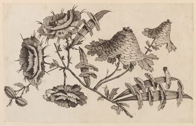 Branche de fleur, de "Recueil de Fleurs Chinois"