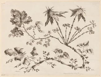Branche de fleurs, de "Recueil de Différentes Fleurs de Fantaisie Dans le Goût Chinois"