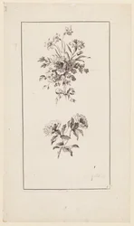 Branches de fleurs, de "Divers Bouquets d