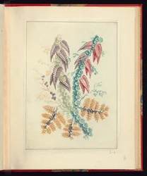 Conception ornementale avec des feuilles triangulaires pourpres et rouges, de Nouvelle suite de cahiers de fleurs naturelles à l