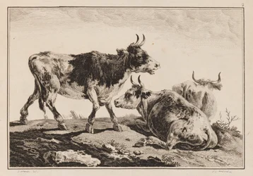 Planche 2, de "Cahier de Six Feuilles de Boeufs et Vaches"