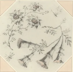 Fleurs de trompette et marguerites