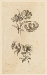 Deux branches de fleurs