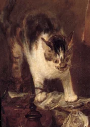 Nature morte avec raie, poissons, huîtres, cruche. Détail du chat
