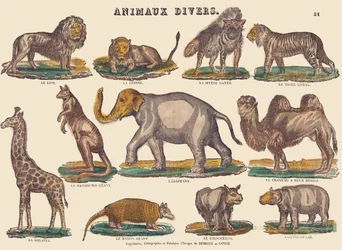 Divers animaux, vers 1840-1852
