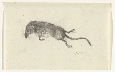 Souris morte