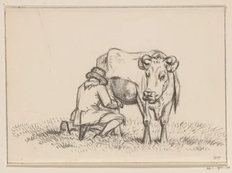 Une vache est traitée