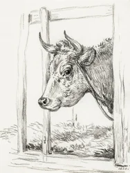 Tête de vache (1820)