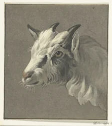 Tête d
