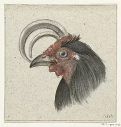 Tête d