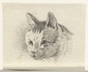 Tête de chat