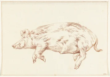 Cochon couché, vers la gauche