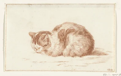 Chat couché, vers la gauche