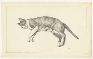 Chat couché, vu de gauche, de dessus
