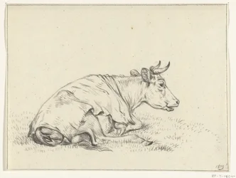 Vache couchée, vers la droite