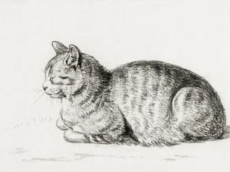 Le chat couché (1811)