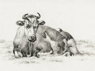 Vache couchée (1825)