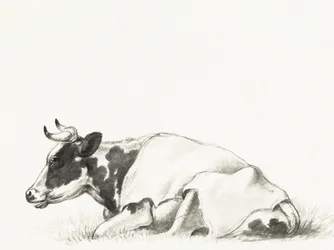 « La vache couchée » de Jean Bernard