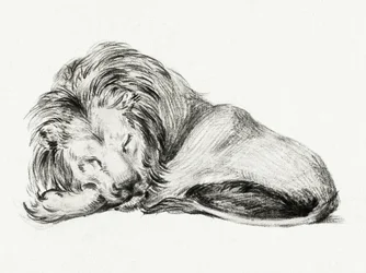 Le lion couché
