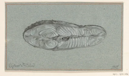 Morceau de saumon cuit
