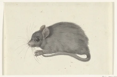 Souris, vers la gauche