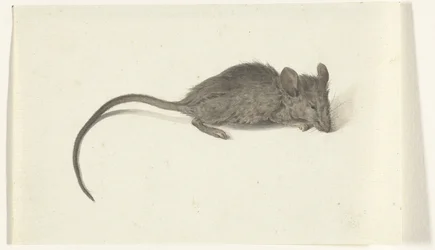 Souris, vers la droite