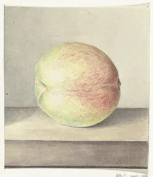 Pêche