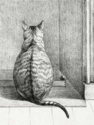 Chat assis, vu de dos (1812)