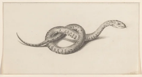 Serpent