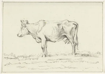 Vache debout, vers la gauche
