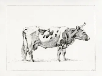Vache debout (1820)
