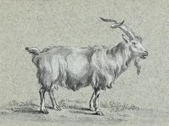 Chèvre debout, par Jean Bernard