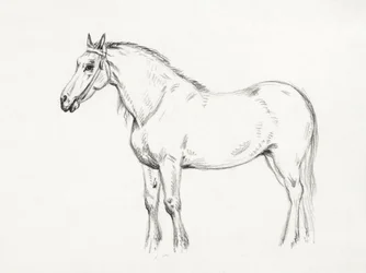 Cheval debout (1818)