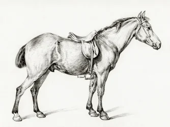 Cheval debout, de Jean Bernard (1775-1883)