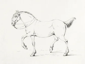 Stepping Horse (1775-1833)