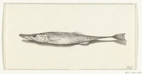 Poisson