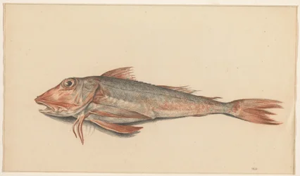 Poisson