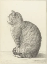 Chat assis, vers la gauche