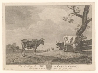 Trois vaches dans un pré
