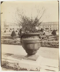 Versailles, Vase par Ballin