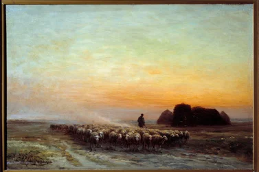 Troupeau de moutons dans la poussière