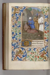 Job sur le fumier Livre d