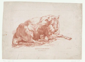 Mouton couché