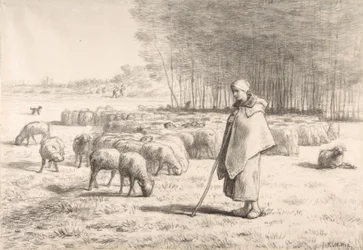 Une bergère avec son troupeau