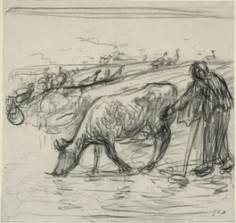Paysanne arrosant sa vache