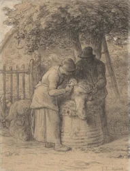 Tonte des moutons sous un arbre, c.1854