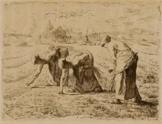 Les glaneurs