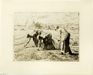 Les glaneurs